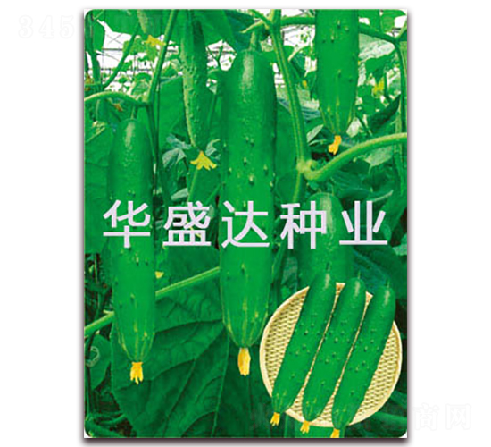 ʢ�_(d��)3̖(h��o)-�S�ϷN��-�Aʢ�_(d��)