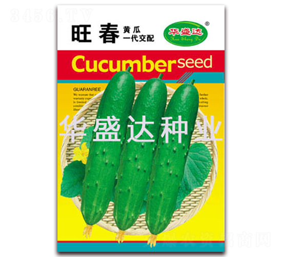 ����-�S�ϷN��-�Aʢ�_