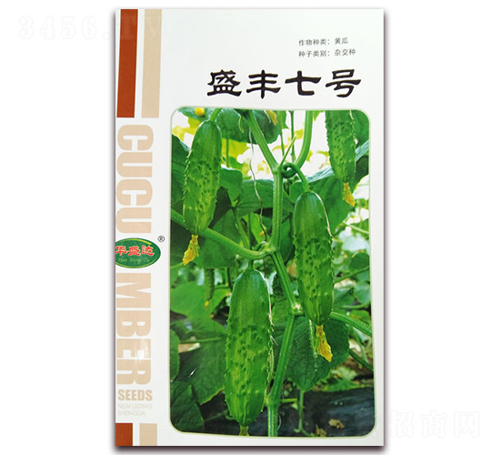 ʢ�S��̖-�S���s���N-�Aʢ�_