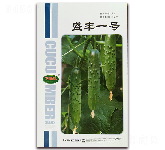 ʢ�Sһ̖-�S�ϷN��-�Aʢ�_