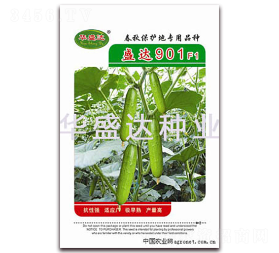 ʢ�_(d��)901F1-�S�ϷN��-�Aʢ�_(d��)