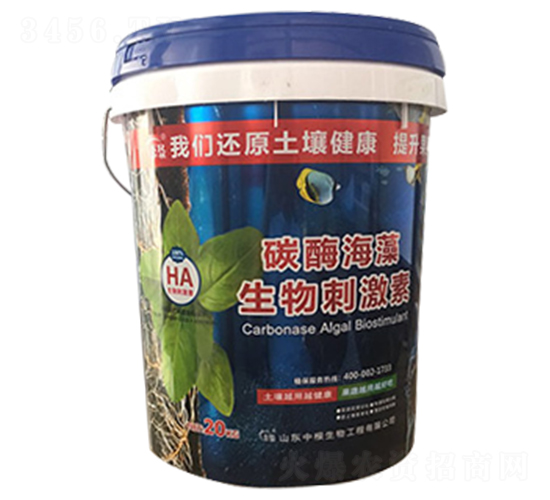 ̼ø��������̼���-�и�����