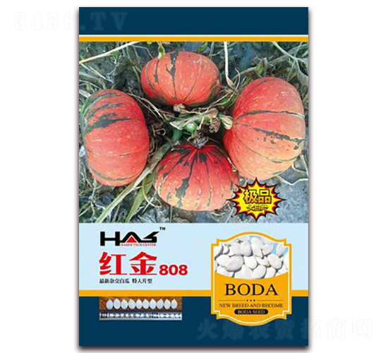 �t��808-�����ϹϷN��-�β���