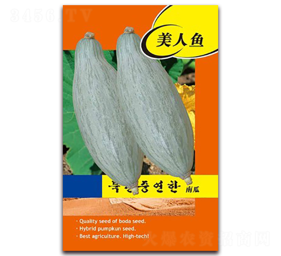 �����~-�ϹϷN��-�β���