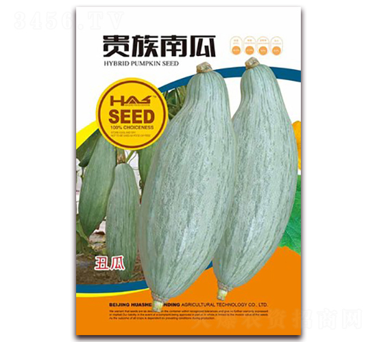 �F���Ϲ�-�ϹϷN��-�β���