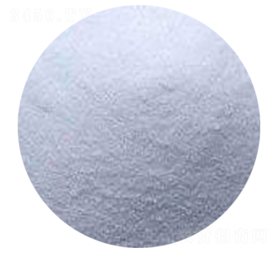 �����-������˹