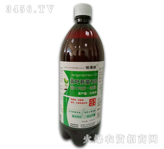 �S�~����120-������-������˹