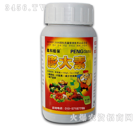 �����-������-������˹