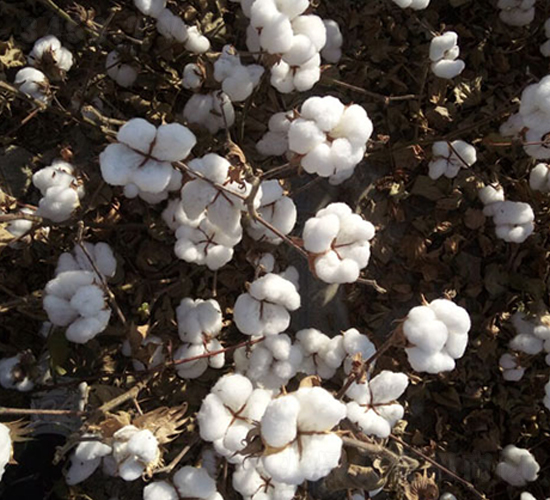 �����57̖-�޻��N��-��ʥ�̷N�I(y��)