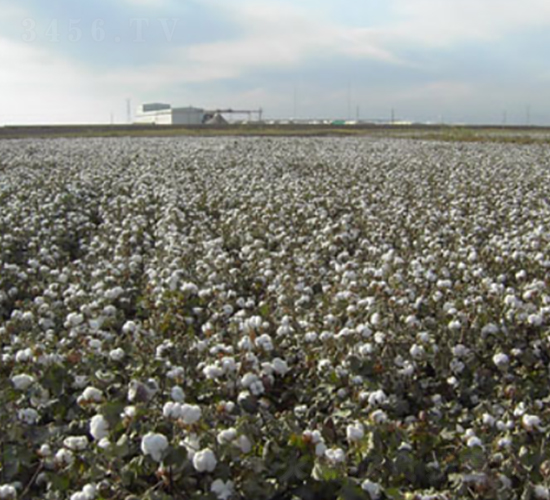 �����67̖-�޻��N��-��ʥ�̷N�I(y��)