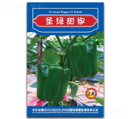 ʥ�G�𽷣�6009��-�����N��-�����r(n��ng)