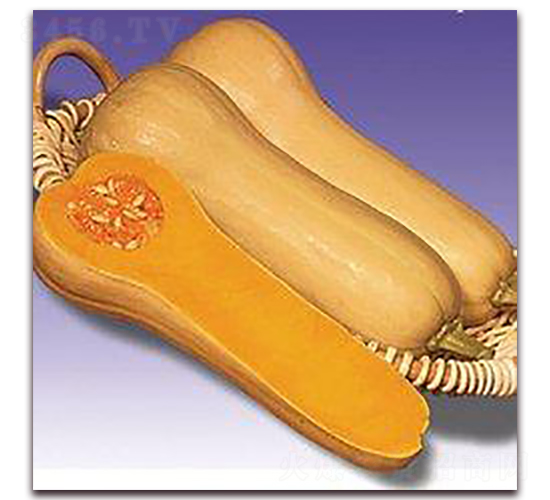 �S�������Ϲ�-�ϹϷN��-�����S��