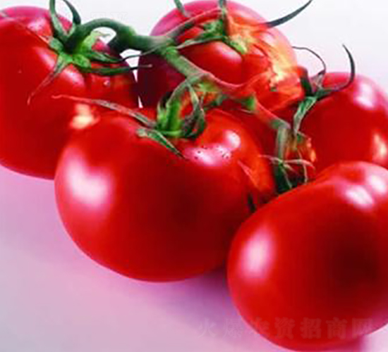 ��ӯһ̖(h��o)-���ѷN��-�����S��