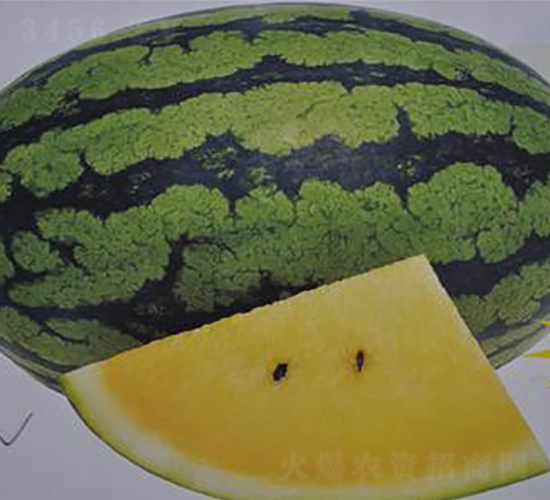 ����-���ϷN��-�����S��