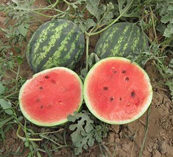 �A��-���ϷN��-�����S��