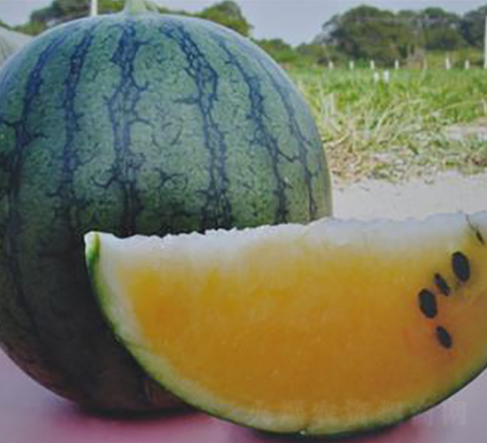 �Θ�-���ϷN��-�����S��