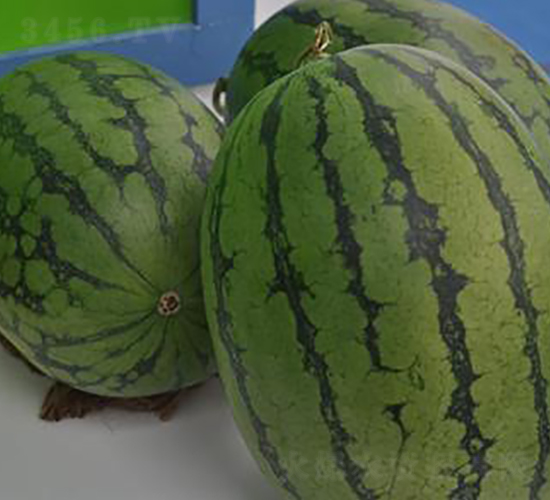 ����-���ϷN��-�����S��