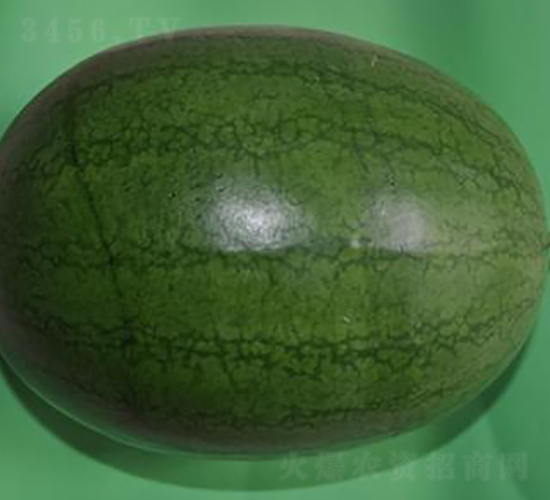 ��(y��u)С��-���ϷN��-�����S��