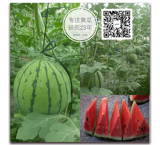 �¸ɾ�һ̖-���ϷN��-�¸ɾ�