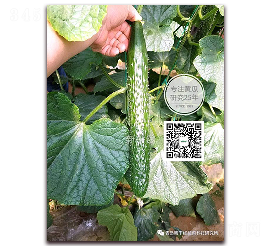 ��Ԫ��̖(h��o)-�ܴ��S�ϷN��-�¸ɾ�