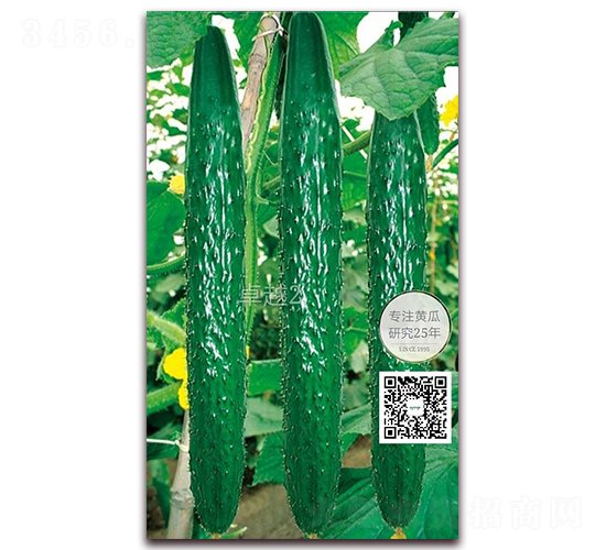 ׿Խ2̖(h��o)-�ܴ��S�ϷN��-�¸ɾ�