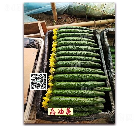 ������-�ܴ��S�ϷN��-�¸ɾ�