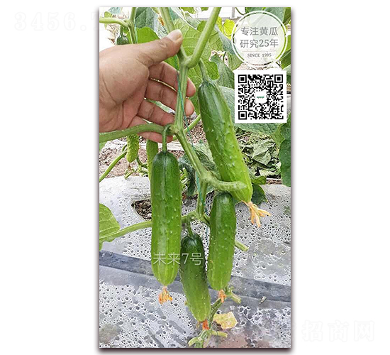 δ��(l��i)��̖(h��o)-�S�ϷN��-�¸ɾ�(xi��n)