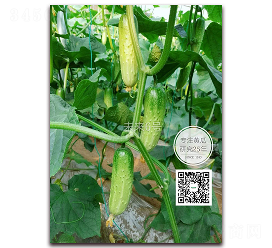 δ����̖(h��o)-�S�ϷN��-�¸ɾ�