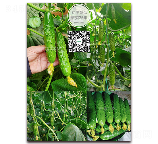 δ��(l��i)103-�S�ϷN��-�¸ɾ�