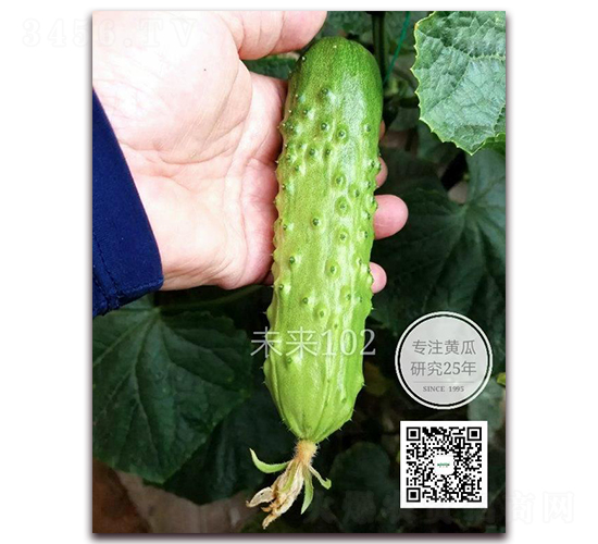 δ��102-�S�ϷN��-�¸ɾ�