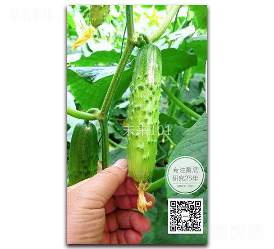 δ��101-�S�ϷN��-�¸ɾ�