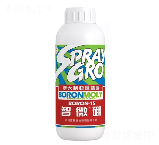 ��΢��-������