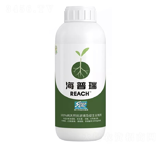 ���澳�������L�Ƅ�-������