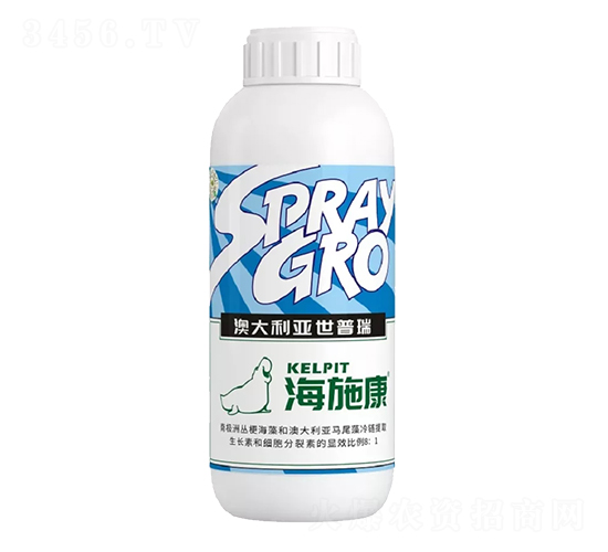 ��ʩ��-������