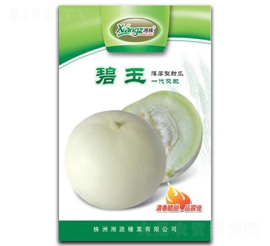 ����-��ϷN��-���߷N�I(y��)