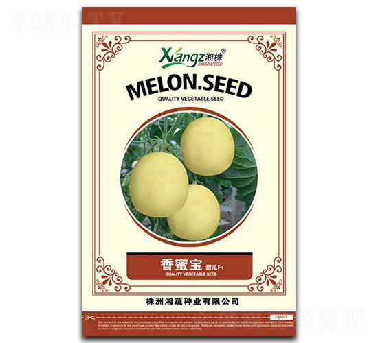 ���ی�-��ϷN��-���߷N�I(y��)