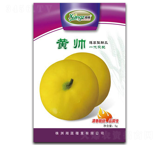 �S��-��ϷN��-���߷N�I(y��)