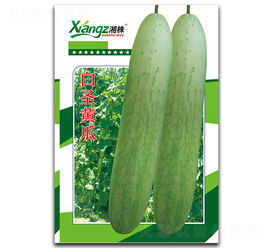 ��ʥ�S��-�S�ϷN��-���߷N�I(y��)