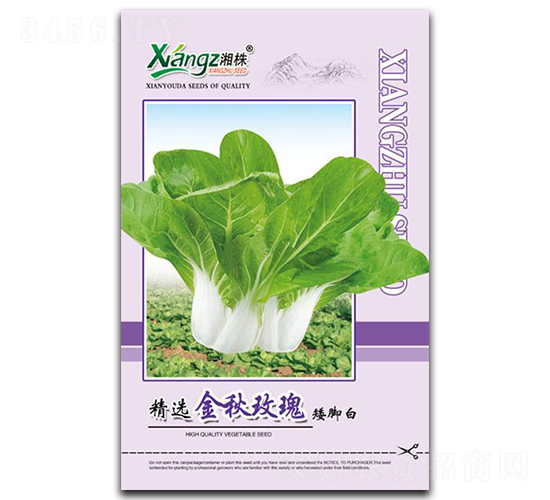 ����õ��-��˷N��-���߷N�I(y��)