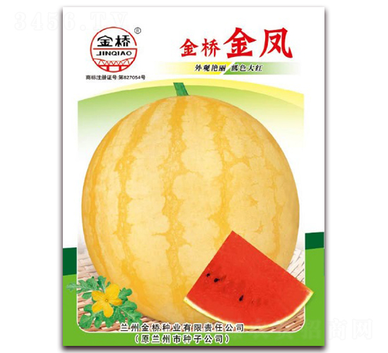 �����P-���ϷN��-���N�I(y��)