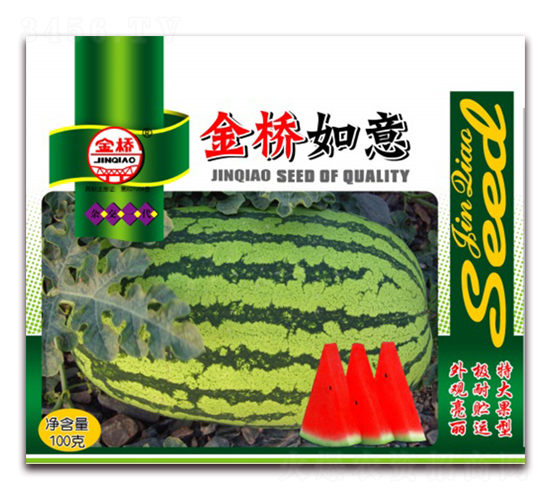 �������-���ϷN��-���N�I(y��)