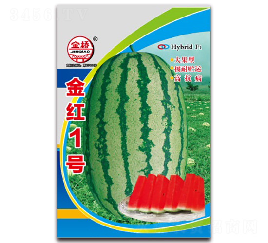 ��t1̖(h��o)-���ϷN��-���N�I(y��)