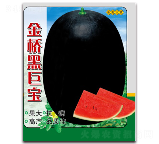 ���ھތ�-���ϷN��-���N�I(y��)