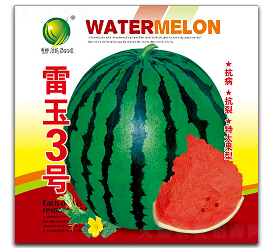 ����3̖-���ϷN��-����N�I(y��)