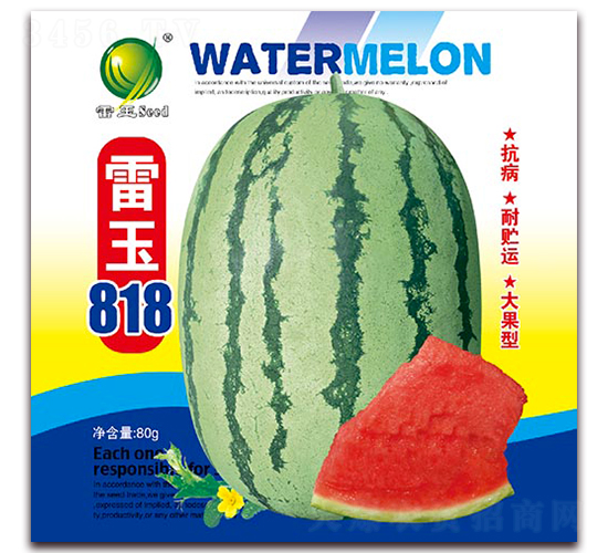 ����818-���ϷN��-����N�I(y��)