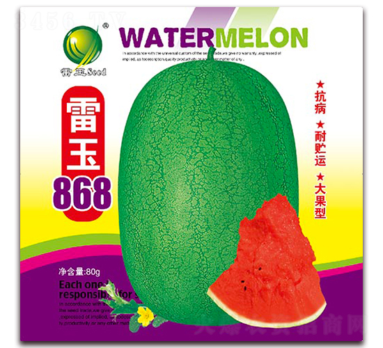 ����868-���ϷN��-����N�I(y��)