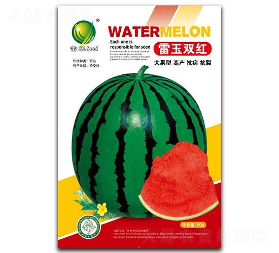 �����p�t-���ϷN��-����N�I(y��)