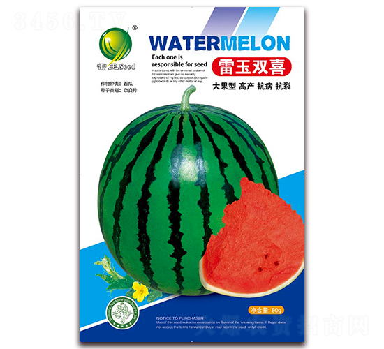 �����pϲ-���ϷN��-����N�I(y��)