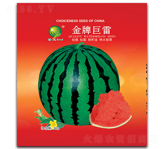 ���ƾ���-���ϷN��-����N�I(y��)