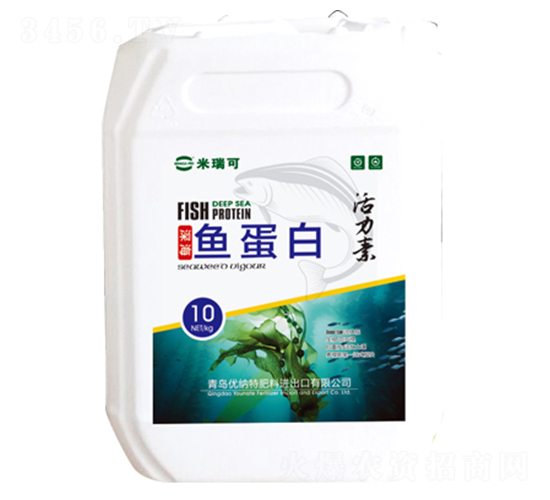 ø���~����-�����-����r(n��ng)�I(y��)